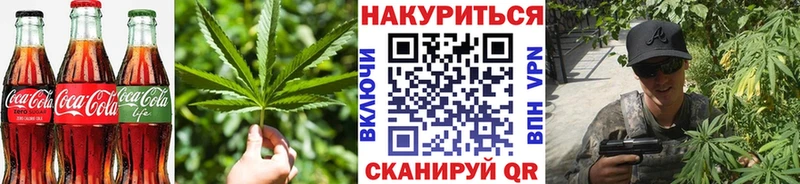 купить наркоту  Кохма  Cannafood марихуана 