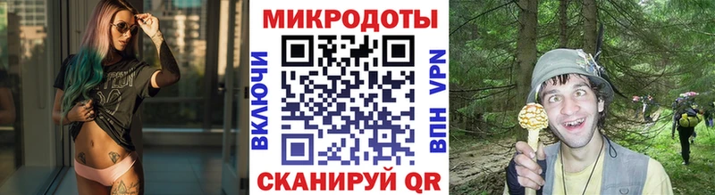 Псилоцибиновые грибы Cubensis  OMG ссылки  Кохма 